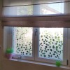 Sticker décoration fenêtre: Branches à Feuilles Rondes Fenêtre Depoli Design