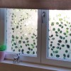 Sticker décoration fenêtre: Branches à Feuilles Rondes Fenêtre Depoli Design
