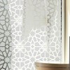 Sticker vitres: Motif Oriental Fenêtre Depoli Design