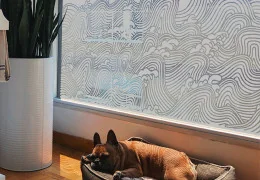 Film pour vitre : Avantages déco, confort et intimité | Dépoli Design